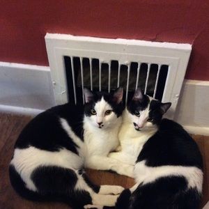 Meet your Posher, Nancy